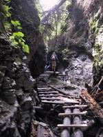 ahoj